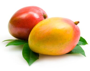 Kent Mango Peru-1488158864947