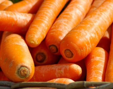 20864-20864-carrots-673184