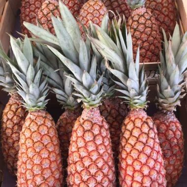 Ananas-pain-de-sucre-du-Ghana-avion