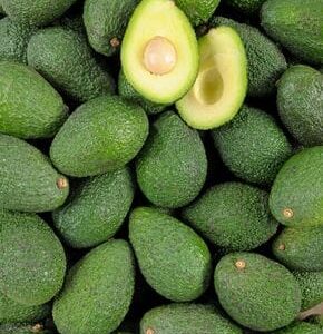 Avocat Has (2)