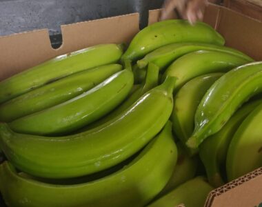 Banane Plantain (1)