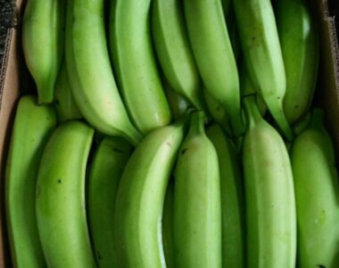 Banane Plantain (3)