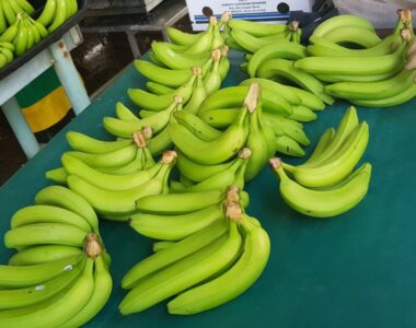 banane douce (2)